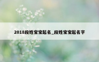 2018 段姓宝宝起名_段姓宝宝起名字