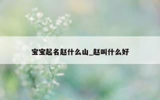 宝宝起名赵什么山_赵叫什么好