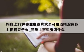 狗身上 17 种寄生虫图片大全可用酒精涂在身上使狗豆子头_狗身上寄生虫叫什么