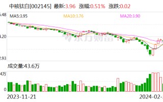 中核钛白：2 月 21 日起全面上调各型号钛白粉销售价格