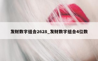 发财数字组合 2628_发财数字组合 4 位数