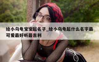 给小乌龟宝宝起名子_给小乌龟起什么名字最可爱最好听最吉利