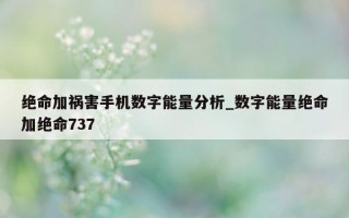 绝命加祸害手机数字能量分析_数字能量绝命加绝命 737