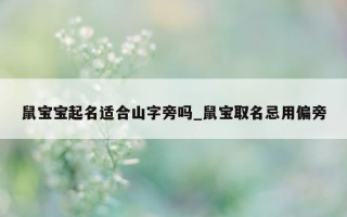 鼠宝宝起名适合山字旁吗_鼠宝取名忌用偏旁