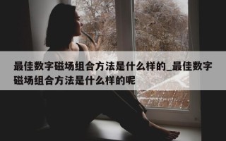 更佳数字磁场组合 *** 是什么样的_更佳数字磁场组合 *** 是什么样的呢