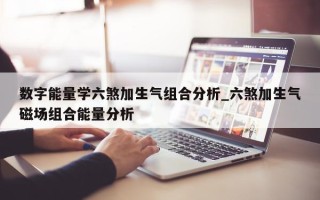 数字能量学六煞加生气组合分析_六煞加生气磁场组合能量分析