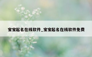 宝宝起名在线软件_宝宝起名在线软件免费