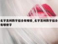 名字吉利数字组合有哪些_名字吉利数字组合有哪些字