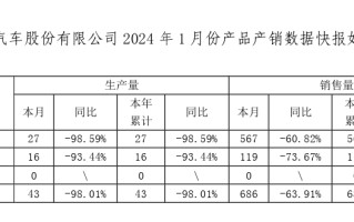 海马汽车 2024 年 1 月销量 686 台同比降 63.91%，继续推进氢燃料电池车