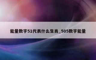 能量数字 51 代表什么生肖_505 数字能量