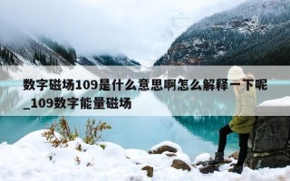 数字磁场 109 是什么意思啊怎么解释一下呢_109 数字能量磁场