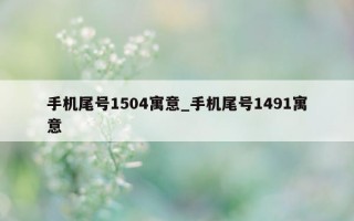 手机尾号 1504 寓意_手机尾号 1491 寓意