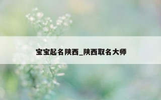 宝宝起名陕西_陕西取名大师