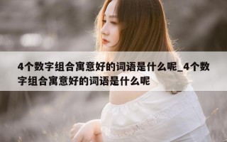 4个数字组合寓意好的词语是什么呢_4个数字组合寓意好的词语是什么呢