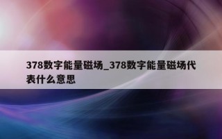 378 数字能量磁场_378 数字能量磁场代表什么意思