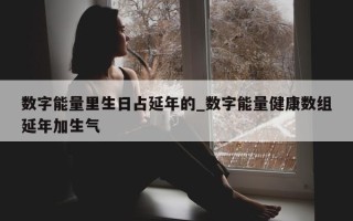 数字能量里生日占延年的_数字能量健康数组延年加生气