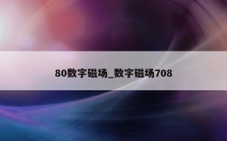 80 数字磁场_数字磁场 708