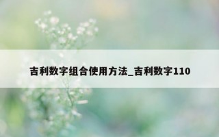 吉利数字组合使用方法_吉利数字 110