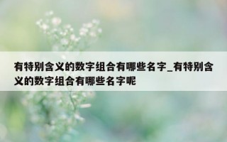 有特别含义的数字组合有哪些名字_有特别含义的数字组合有哪些名字呢