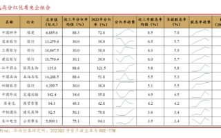 华西证券：2024 年，如何构建央企组合？