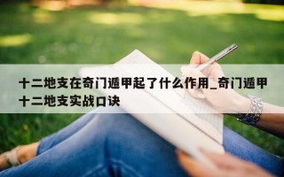 十二地支在奇门遁甲起了什么作用_奇门遁甲十二地支实战口诀