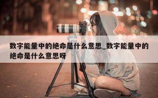 数字能量中的绝命是什么意思_数字能量中的绝命是什么意思呀