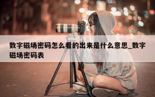 数字磁场密码怎么看的出来是什么意思_数字磁场密码表