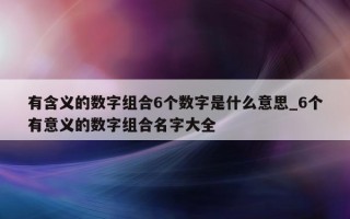 有含义的数字组合 6 个数字是什么意思_6 个有意义的数字组合名字大全