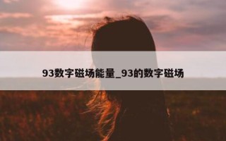 93 数字磁场能量_93 的数字磁场