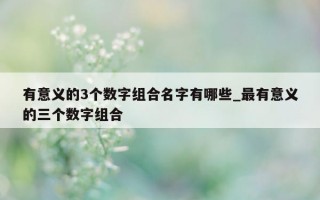 有意义的 3 个数字组合名字有哪些_最有意义的三个数字组合