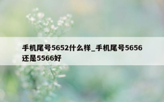 手机尾号 5652 什么样_手机尾号 5656 还是 5566 好