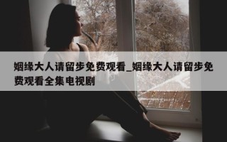 姻缘大人请留步免费观看_姻缘大人请留步免费观看全集电视剧