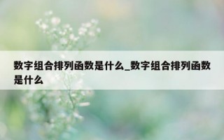 数字组合排列函数是什么_数字组合排列函数是什么