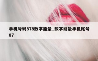 手机号码 878 数字能量_数字能量手机尾号 87