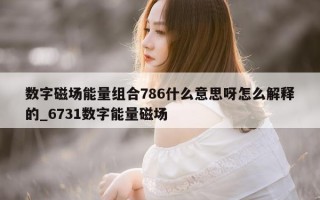 数字磁场能量组合 786 什么意思呀怎么解释的_6731 数字能量磁场