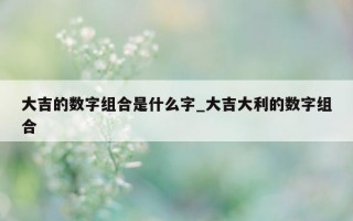 大吉的数字组合是什么字_大吉大利的数字组合