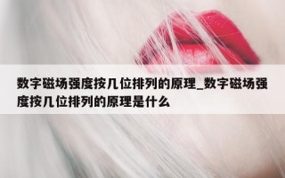 数字磁场强度按几位排列的原理_数字磁场强度按几位排列的原理是什么