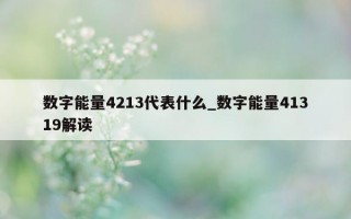 数字能量 4213 代表什么_数字能量 41319 解读