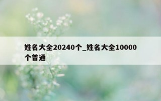 姓名大全 20240 个_姓名大全 10000 个普通