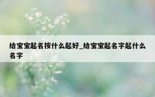 给宝宝起名按什么起好_给宝宝起名字起什么名字