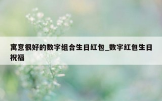 寓意很好的数字组合生日红包_数字红包生日祝福