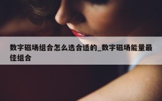 数字磁场组合怎么选合适的_数字磁场能量最佳组合