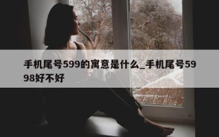 手机尾号 599 的寓意是什么_手机尾号 5998 好不好