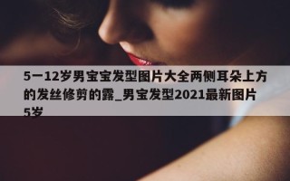 5 一 12 岁男宝宝发型图片大全两侧耳朵上方的发丝修剪的露_男宝发型 2021 最新图片 5 岁