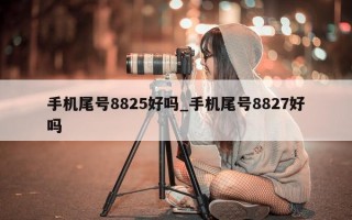 手机尾号8825好吗_手机尾号8827好吗