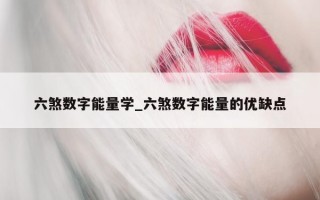 六煞数字能量学_六煞数字能量的优缺点