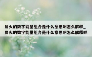 属火的数字能量组合是什么意思啊怎么解释_属火的数字能量组合是什么意思啊怎么解释呢