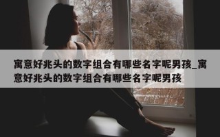 寓意好兆头的数字组合有哪些名字呢男孩_寓意好兆头的数字组合有哪些名字呢男孩