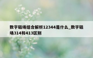 数字磁场组合解析12344是什么_数字磁场314和413区别