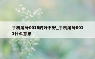 手机尾号 0016 的好不好_手机尾号 0011 什么意思